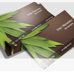 Wizytówka online w egzotycznym stylu, tło w odcieniach brązu oraz zdjęcie liści palmy w lewym górnym rogu
